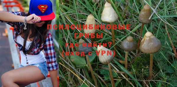 ALPHA PVP Арсеньев