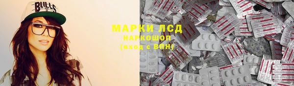 индика Армянск