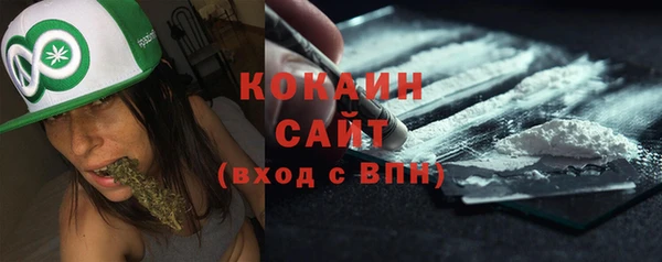 индика Армянск