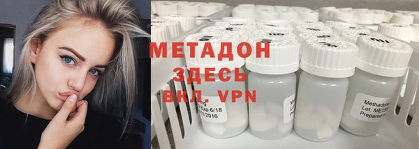 прущие грибы Покровск
