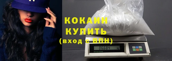 индика Армянск