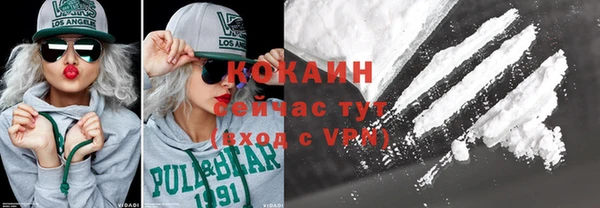 индика Армянск