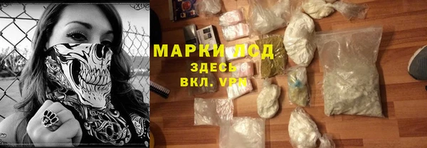 индика Армянск